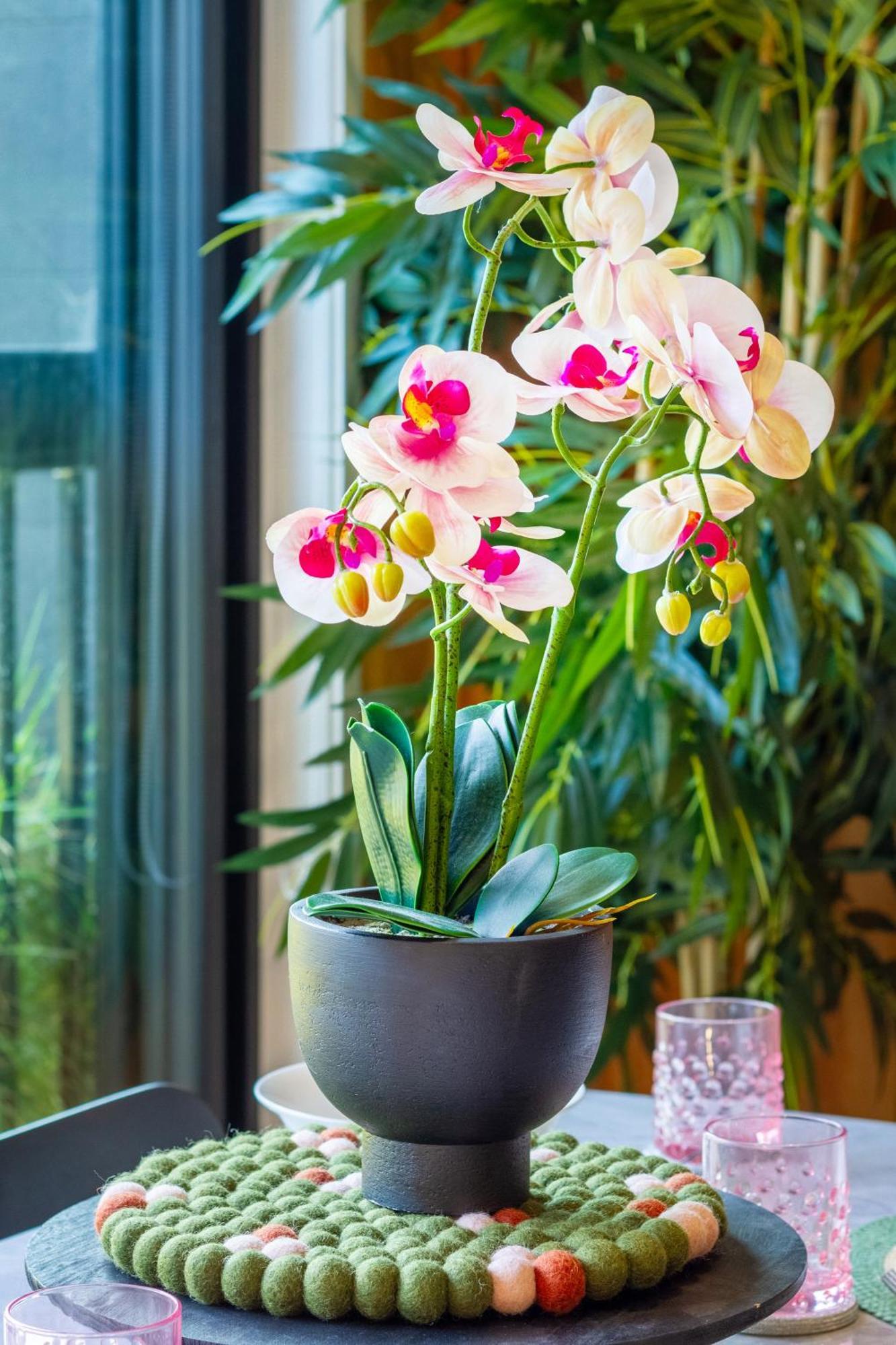 Cozy 1-Bed Apartment With Park Views, Sleeps 4 Christchurch Extérieur photo